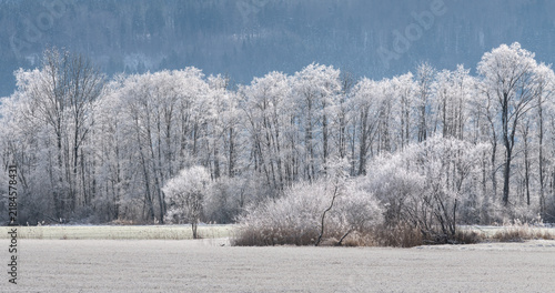 Photography Wintertag im Kochelmoos, Bayern, Deutschland