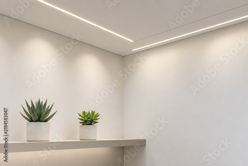 White ceiling with linear lights and succulents on shelf, modern interior