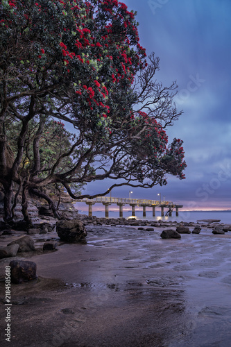 Obraz na plátne Morning blue hour at Murrays Bay wharf, Auckland, New Zealand