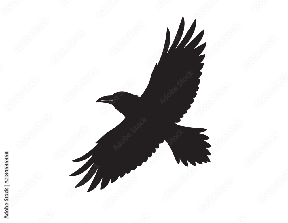 Fototapeta premium Flying crow silhouette isolated on white background for dark gothic Halloween graphic themes