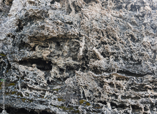 Canvastavla Heavily weathered porous coral rock surface texture with sharp erosion patterns
