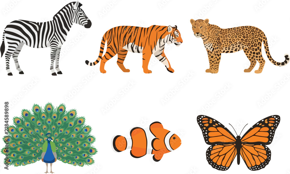 Fototapeta premium A collection of various wild animals and insects including a zebra tiger leopard peacock fish and butterfly.