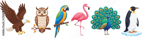 A collection of diverse bird species including an eagle owl parrot flamingo peacock and penguin.