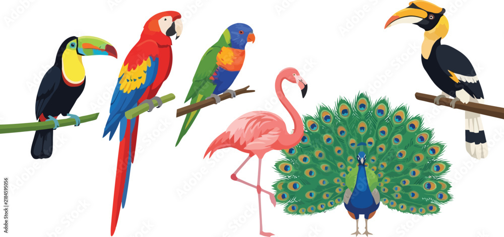 Obraz premium A vibrant collection of exotic tropical birds including a toucan macaw parrot flamingo and peacock.