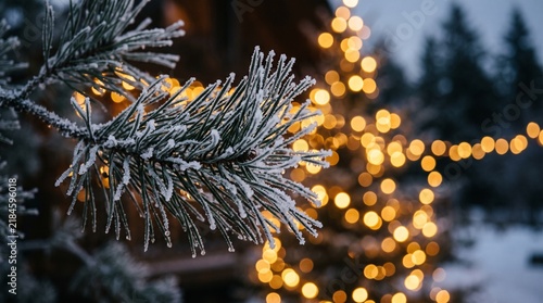 Snowy pine branch with bokeh lights and white space