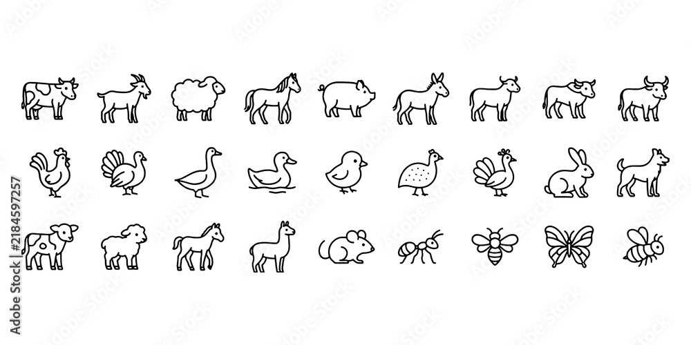 Fototapeta premium Set of Farm Animals Line Icon Set, Vector Pictograms of Goose, Duckling, Duck, Sheep, Horse and Pig, Thin Linear Illustration