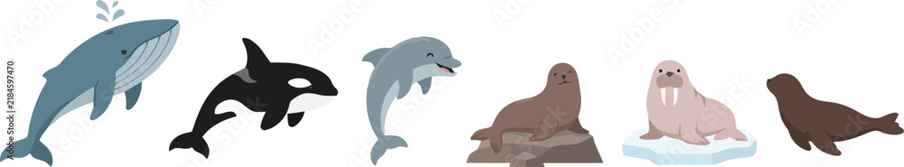 Fototapeta premium A collection of various marine mammals including whales dolphins and seals.