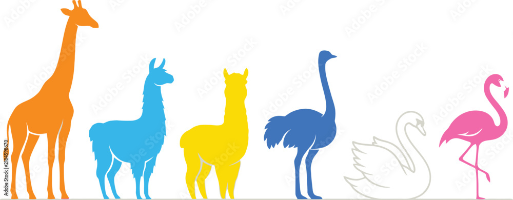 Fototapeta premium A colorful collection of various animal silhouettes standing in a row.