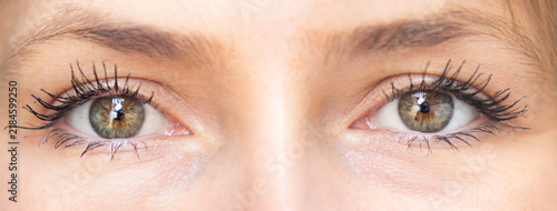 close up of female eye with make up