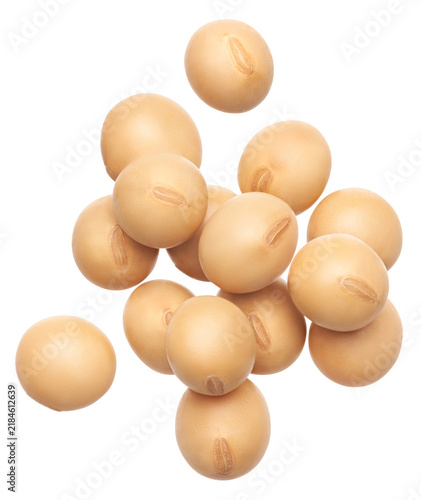 Group of floating soybeans isolated