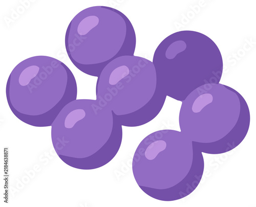 Purple cocci bacteria vector illustration. Microscopic spherical bacteria cells or organic round shapes isolated on black background for scientific or medical use.