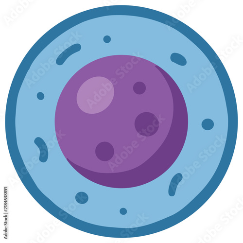 Microscopic cell cross-section vector illustration with purple nucleus and blue cytoplasm, stylized as a biological specimen or laboratory organism icon for science research.