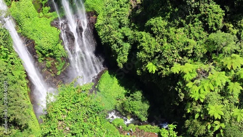 Waterfalls stream through lush canyon in sweeping aerial nature view, surrounded by thick forest, fern covered slopes, and dark rock walls. Waterfalls carve narrow gorge in vivid tropical greenery.