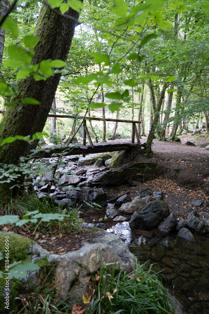 Fototapeta premium Rustic wooden footbridge above a rocky stream in Ninglinspo Valley near Aywaille Wallonia Belgium in the Belgian Ardennes