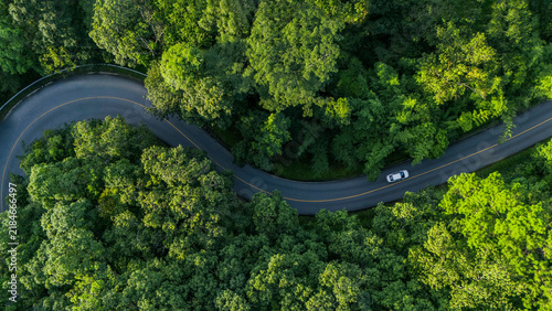 Aerial top-down view of a lush green forest, concept for sustainable transportation and ESG environment, net zero emissions, eco-friendly tourism, and green logistics.