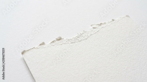 Torn Paper Edge Macro - White Textured Background