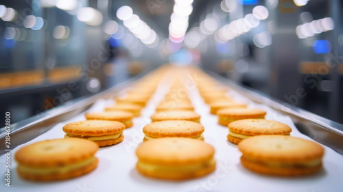 At the factory, round cookies with peanut butter filling move along the conveyor belt in three rows.
