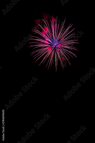 Canvas Print Vibrant fireworks in the night sky, Vienna, Austria