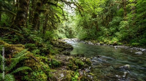 Scenic view of a crystal clear stream surrounded by vibrant green mossy trees in pristine wilderness forest.
Pristine nature landscape with fresh flowing river water through ancient lush rainforest.