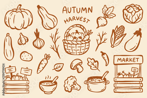 Autumn harvest hand drawn doodle set featuring pumpkins, vegetables, basket, market stall, soup, leaves and farm produce in warm brown line art on a cream background.