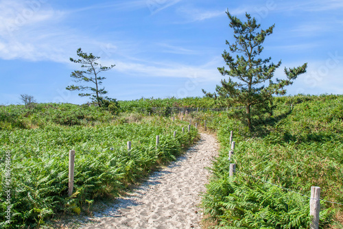 Chemin de randonnées à la pointe de Mousterlin. Finistère