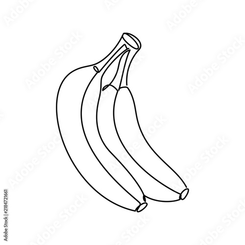 One line continuous illustration. Bunch of bananas vector. Minimal linear silhouette. Hand drawn fruit icon. Food print, banner, card, poster, doodle logo, sign, symbol, minimal cartoon sketch. 