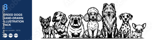 8 Breed Dogs Hand-Drawn Illustration Pack, Cute Canines Design, Vector Graphics for Branding and Creative Projects.