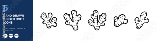Hand-Drawn Ginger Root Icons, Health and Nutrition Illustration, Svg Design Elements, Food Ingredient Graphics