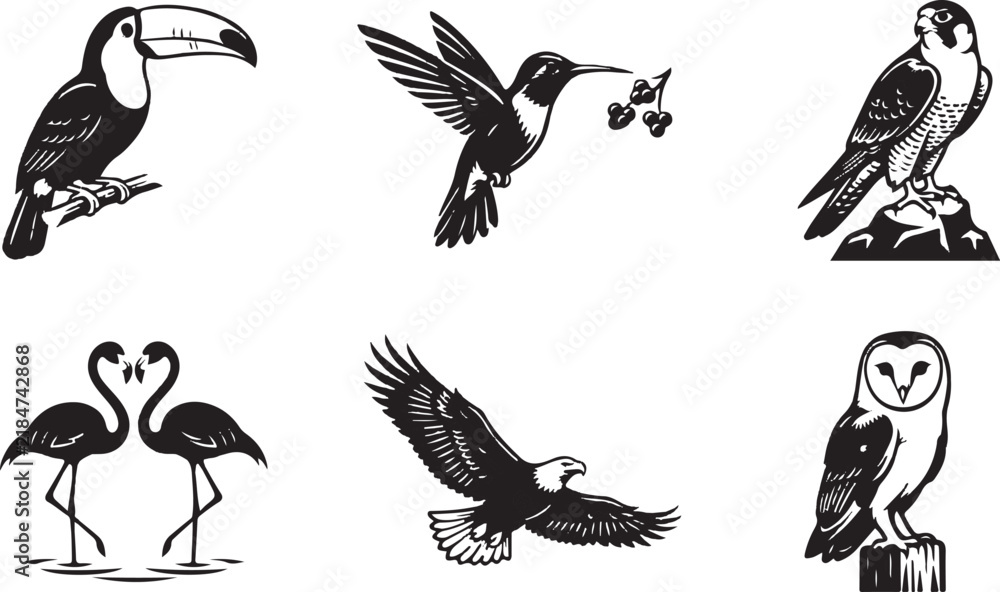 Obraz premium Bird Silhouettes Collection Vector Illustration for Wildlife Nature Design