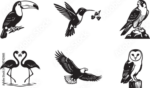 Bird Silhouettes Collection Vector Illustration for Wildlife Nature Design