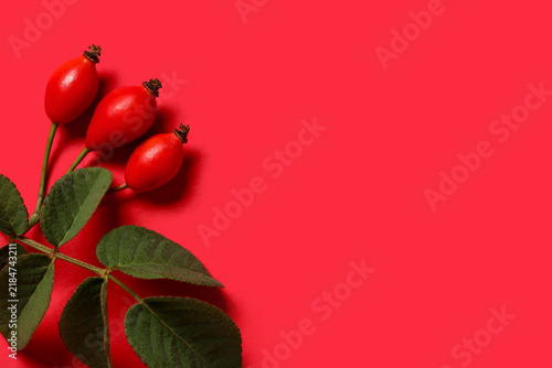 фотографія Fresh rose hip berries and leaves on red background