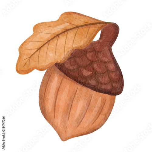 Watercolor Autumn Large Acorn