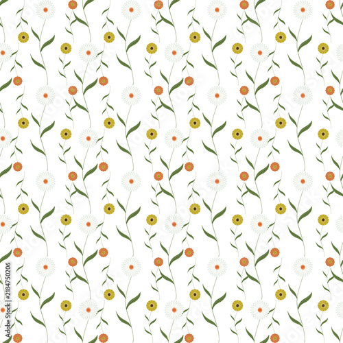 Minimal Bloom
