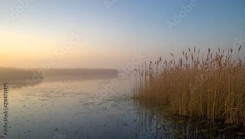 Serene Sunrise Over Calm River with Reeds