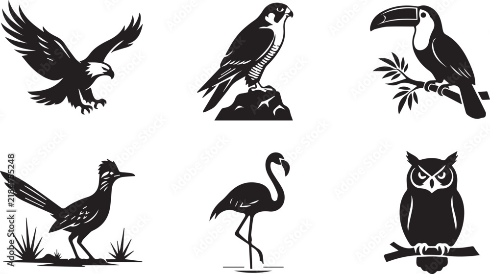 Obraz premium Set of Bird Silhouettes Wildlife Illustrations
