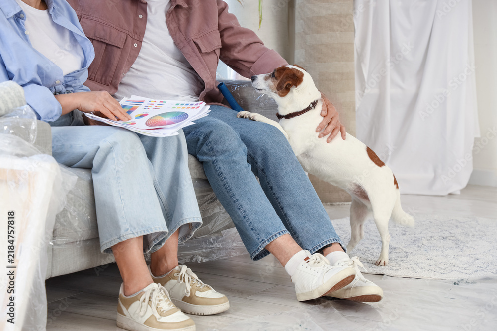 Fototapeta premium Mature couple with paint color palettes and dog sitting on sofa during repair in their new house