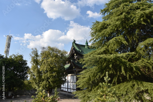 castle in the forest