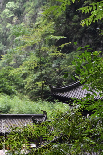 Chinese temple in the forest 