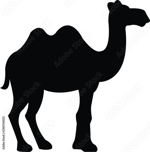 Camel silhouette vector icon isolated on white background with desert animal
