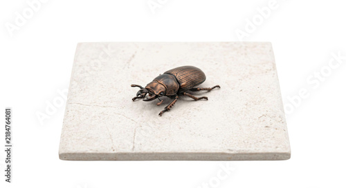 Konstfotografi Detailed bronze beetle figurine resting on a textured stone surface