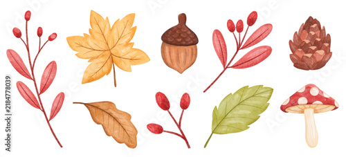 Hand painted rustic autumn watercolor collection featuring colorful fall leaves, acorn, pine cone, red berries, and mushroom botanical elements for seasonal nature designs scrapbook 