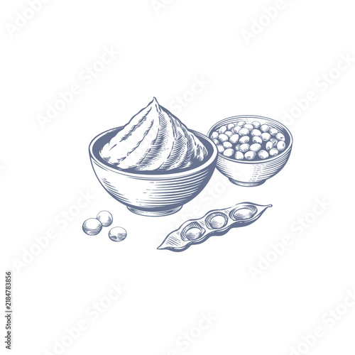 Traditional miso paste with soybeans. Hand-drawn vector in an engraved style. Suitable for food packaging, Japanese cuisine, recipes, menus, and fermentation-themed designs

