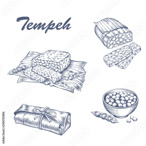 Tempeh blocks and slices on a banana leaf. Hand-drawn vector illustration in engraving style