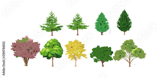 Set of diverse tree illustrations isolated on white background