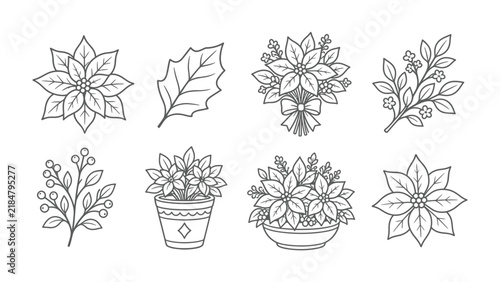 Christmas Poinsettia Line Art: A collection of delicate line art illustrations featuring poinsettia flowers, holly leaves, and berry branches, perfect for holiday-themed designs.