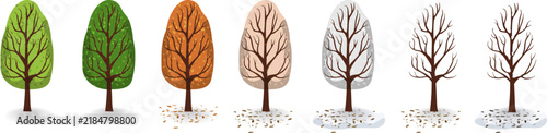 Four seasons trees set, spring summer autumn winter cycle vector illustration