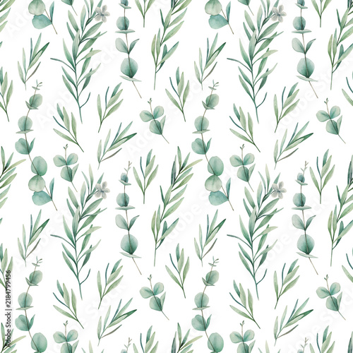 Watercolor seamless pattern with eucalyptus branches . Hand drawn illustration on white background