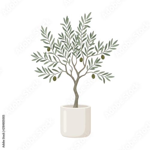Ilustração de oliveira em vaso