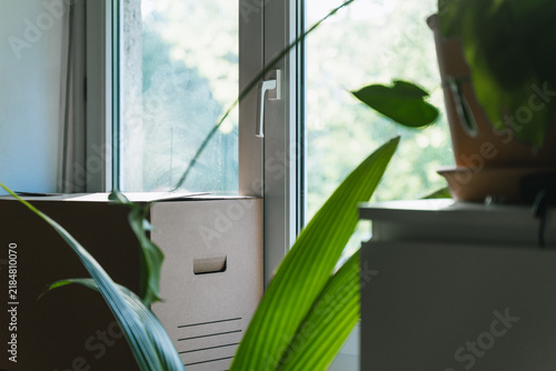 Fotografie Several packed boxes and green houseplants sit by a bright sunny window inside a new apartment
