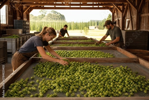 Salad greens packing